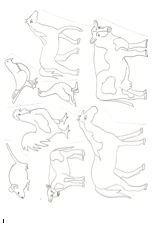 Screen Shot 2018-08-10 at 9.10.07 AM