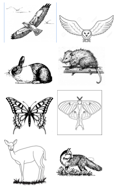 Screen Shot 2018-08-14 at 5.54.34 PM