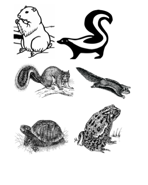 Screen Shot 2018-08-14 at 5.54.50 PM