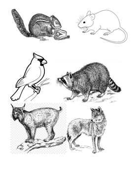 Screen Shot 2018-08-14 at 5.55.06 PM