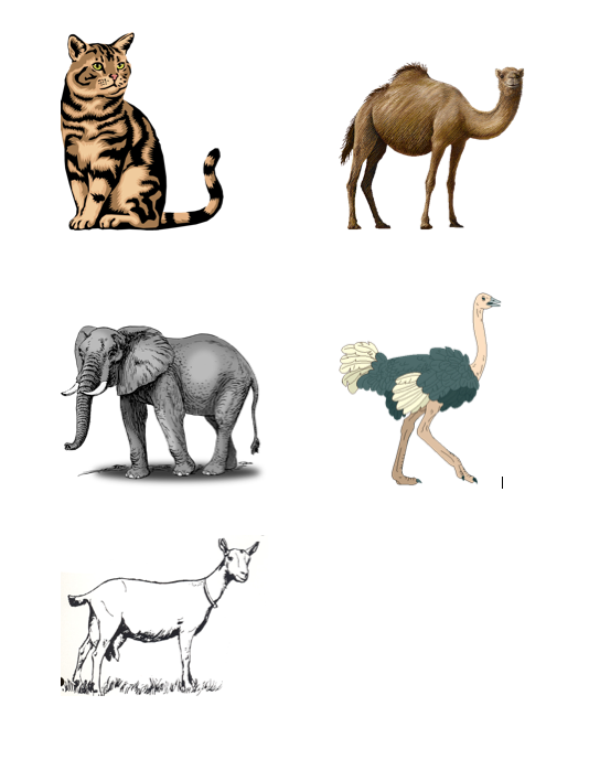 Screen Shot 2018-08-18 at 5.27.51 PM