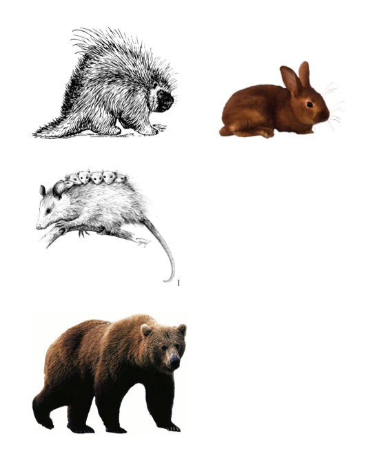 Screen Shot 2018-08-18 at 5.28.12 PM