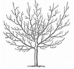 Screen Shot 2018-08-27 at 5.28.51 PM