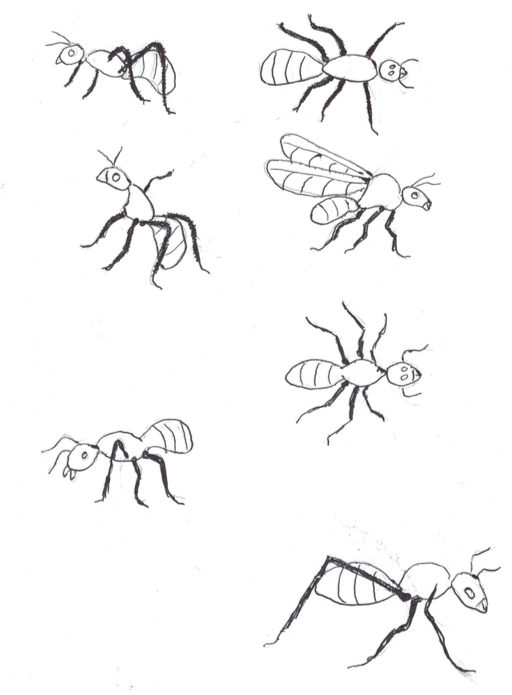 Screen Shot 2018-09-10 at 9.09.48 PM