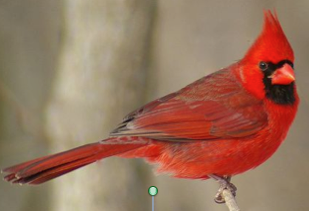 Screen Shot 2018-09-16 at 7.01.23 PM