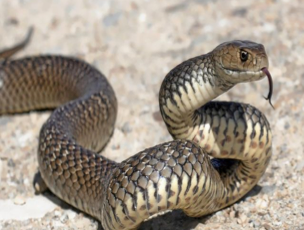 Screen Shot 2018-09-16 at 7.01.44 PM