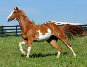 Screen Shot 2018-09-16 at 7.03.05 PM