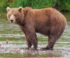 Screen Shot 2018-09-16 at 7.04.11 PM