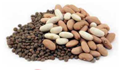 Screen Shot 2018-10-30 at 4.42.44 PM