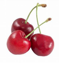 Screen Shot 2018-10-30 at 4.51.32 PM