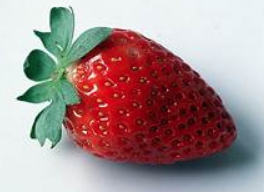 Screen Shot 2018-10-30 at 4.51.41 PM