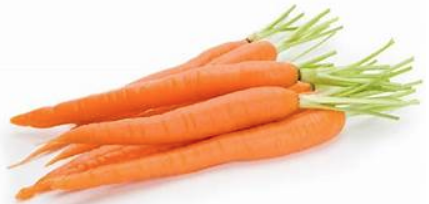 Screen Shot 2018-10-30 at 4.52.56 PM