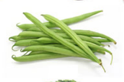 Screen Shot 2018-10-30 at 4.53.23 PM