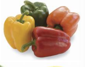 Screen Shot 2018-10-30 at 4.53.49 PM