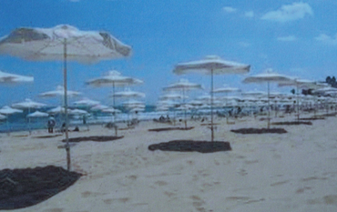 Screen Shot 2018-11-04 at 12.29.07 PM