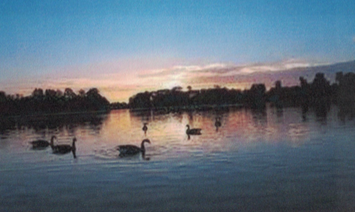 Screen Shot 2018-11-04 at 12.33.11 PM