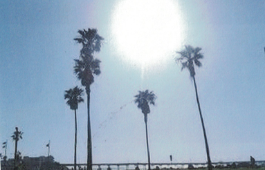 Screen Shot 2018-11-04 at 12.33.21 PM