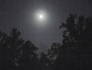 Screen Shot 2018-11-04 at 12.33.33 PM