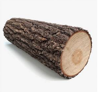 Screen Shot 2018-11-04 at 12.39.06 PM