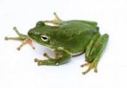 Screen Shot 2018-11-04 at 12.39.38 PM