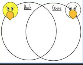 Screen Shot 2018-11-05 at 1.05.37 PM